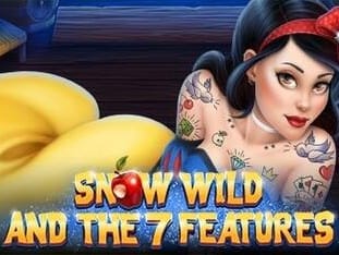 Snow Wild And The 7 Features icon